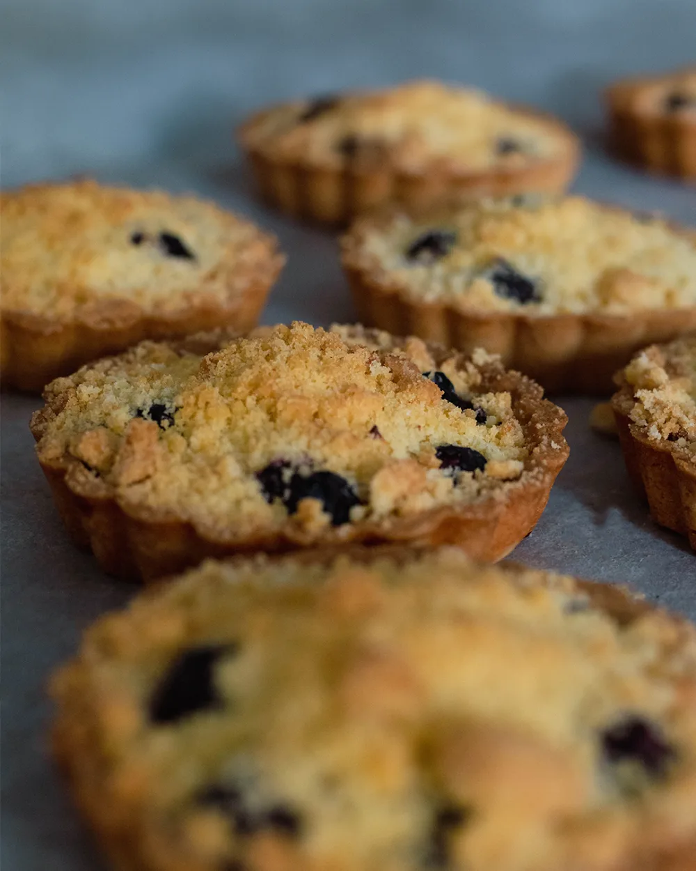 Blueberry Crumble Pie