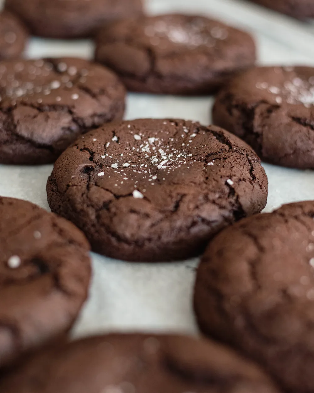 Brownie Cookie